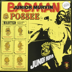 Junior Murvin Badman Possee Vinyl LP USED