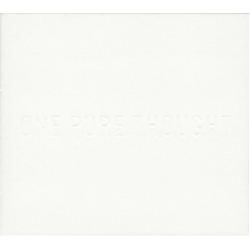 Hot Chip One Pure Thought Vinyl 12" USED