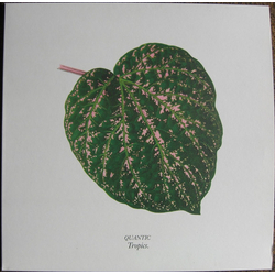Quantic Tropics Vinyl 12" USED