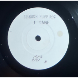 Thrush Puppies I Came Vinyl 7" USED
