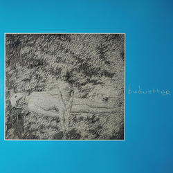 Bedwetter (3) Volume 1: Flick Your Tongue Against Your Teeth And Describe The Present Vinyl LP USED