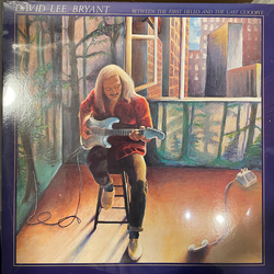 David Lee Bryant Between The First Hello And The Last Goodbye Vinyl LP USED
