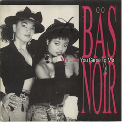 Bas Noir I'm Glad You Came To Me Vinyl 12" USED