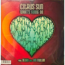 Citrus Sun What's Going On Vinyl 7" USED