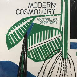 Modern Cosmology What Will You Grow Now? Vinyl LP USED