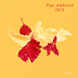 Various Pop Ambient 2023 Vinyl LP USED