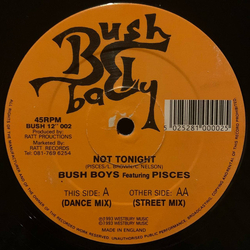 The Bush Boys / Pisces (8) Not Tonight Vinyl 12" USED
