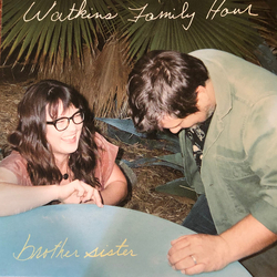 Watkins Family Hour Brother Sister Vinyl LP USED