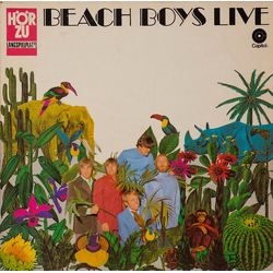 The Beach Boys Live Vinyl LP USED