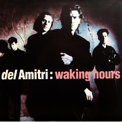 Del Amitri Waking Hours Vinyl LP USED