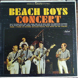 The Beach Boys Concert Vinyl LP USED