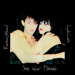 Rowland S. Howard / Lydia Lunch Some Velvet Morning Vinyl 12" USED
