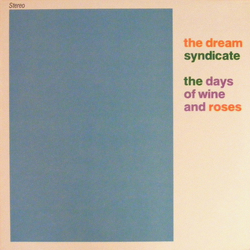 The Dream Syndicate The Days Of Wine And Roses Vinyl LP USED