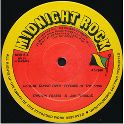Tristan Palmer / Jah Thomas Reggae Taking Over - Feeding Of The 5000 Vinyl 12" USED