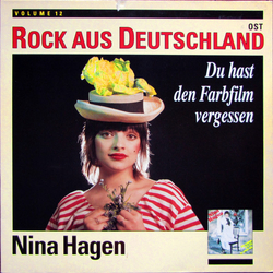 Nina Hagen Du Hast Den Farbfilm Vergessen Vinyl LP USED