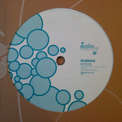 Kudos Do It Fluid / Fuzzy Logic Vinyl 12" USED