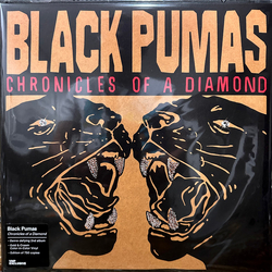 Black Pumas Chronicles Of A Diamond Vinyl LP USED