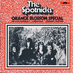 The Spotnicks Orange Blossom Special Vinyl 7" USED