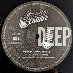 Various Deep Into House Vol.2 Vinyl 12" USED