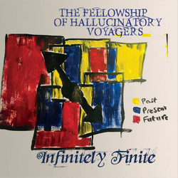 The Fellowship Of Hallucinatory Voyagers Infinitely Finite Vinyl LP USED
