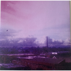Flyying Colours You Never Know Vinyl LP USED