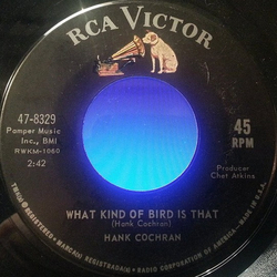 Hank Cochran What Kind Of Bird Is That Vinyl 7" USED
