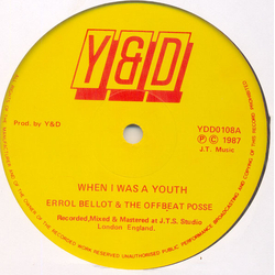 Errol Bellot / The Offbeat Posse When I Was A Youth / Music Fever Vinyl 12" USED