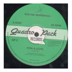 Wayne Marshall (3) Pon A Level  / Dance Baby Dance Vinyl 12" USED