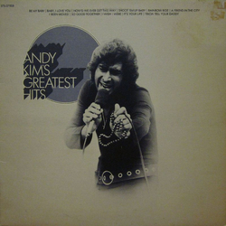 Andy Kim Andy Kim's Greatest Hits Vinyl LP USED