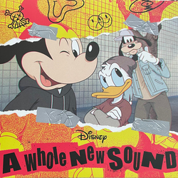 Various A Whole New Sound Vinyl LP USED