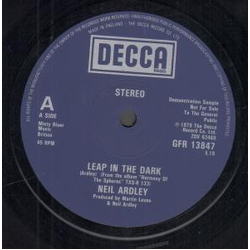 Neil Ardley Leap In The Dark Vinyl 12" USED