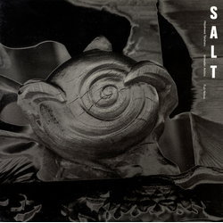 Salt (20) Salt Vinyl LP USED