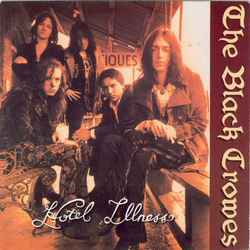 The Black Crowes Hotel Illness Vinyl 7" USED