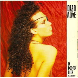 Dead Or Alive In Too Deep Vinyl 7" USED