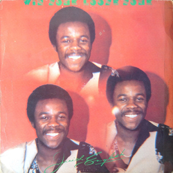 Junior English Win Some Loose Some Vinyl LP USED