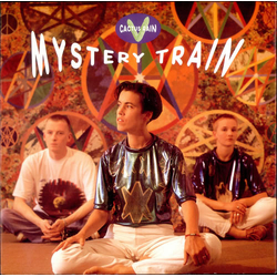 Cactus Rain Mystery Train Vinyl 7" USED