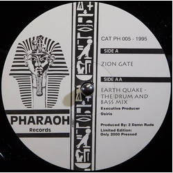 2 Damn Rude Zion Gate / Earth Quake Vinyl 12" USED
