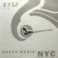Naked Music NYC If I Fall (Downtempo Mixes) Vinyl 12" USED