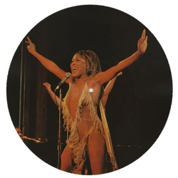 Tina Turner Tina Turner Vinyl LP USED