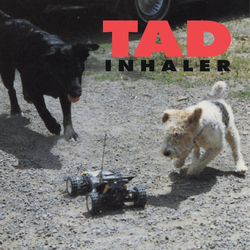 Tad Inhaler Vinyl LP USED