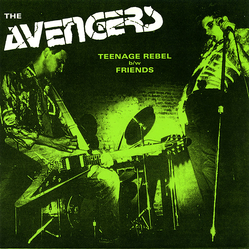 Avengers Teenage Rebel b/w Friends Vinyl 7" USED