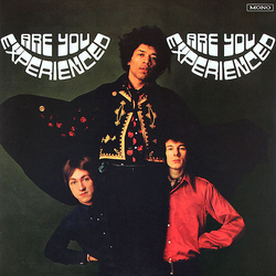 The Jimi Hendrix Experience Are You Experienced Vinyl LP USED