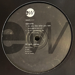 Samuelle Prater So You Like What You See Vinyl 12" USED