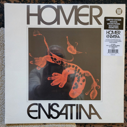 Homer Steinweiss Ensatina Vinyl LP USED