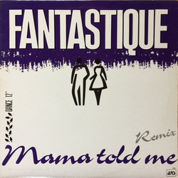 Fantastique Mama Told Me Remix Vinyl 12" USED
