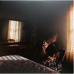 The Boxer Rebellion Ghost Alive Vinyl LP USED