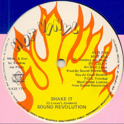 Sound Revolution Shake It Vinyl 12" USED