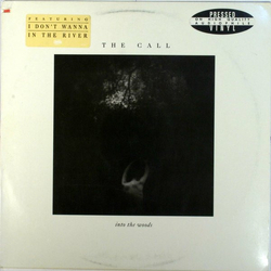 The Call Into The Woods Vinyl LP USED