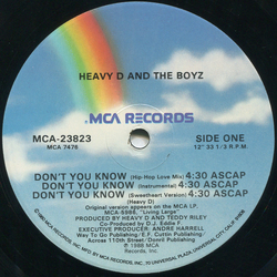 Heavy D. & The Boyz Don't You Know / Moneyearnin' Mount Vernon Vinyl 12" USED