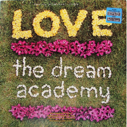 The Dream Academy Love Vinyl 12" USED